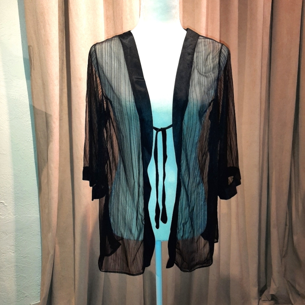 Vintage sheer robe